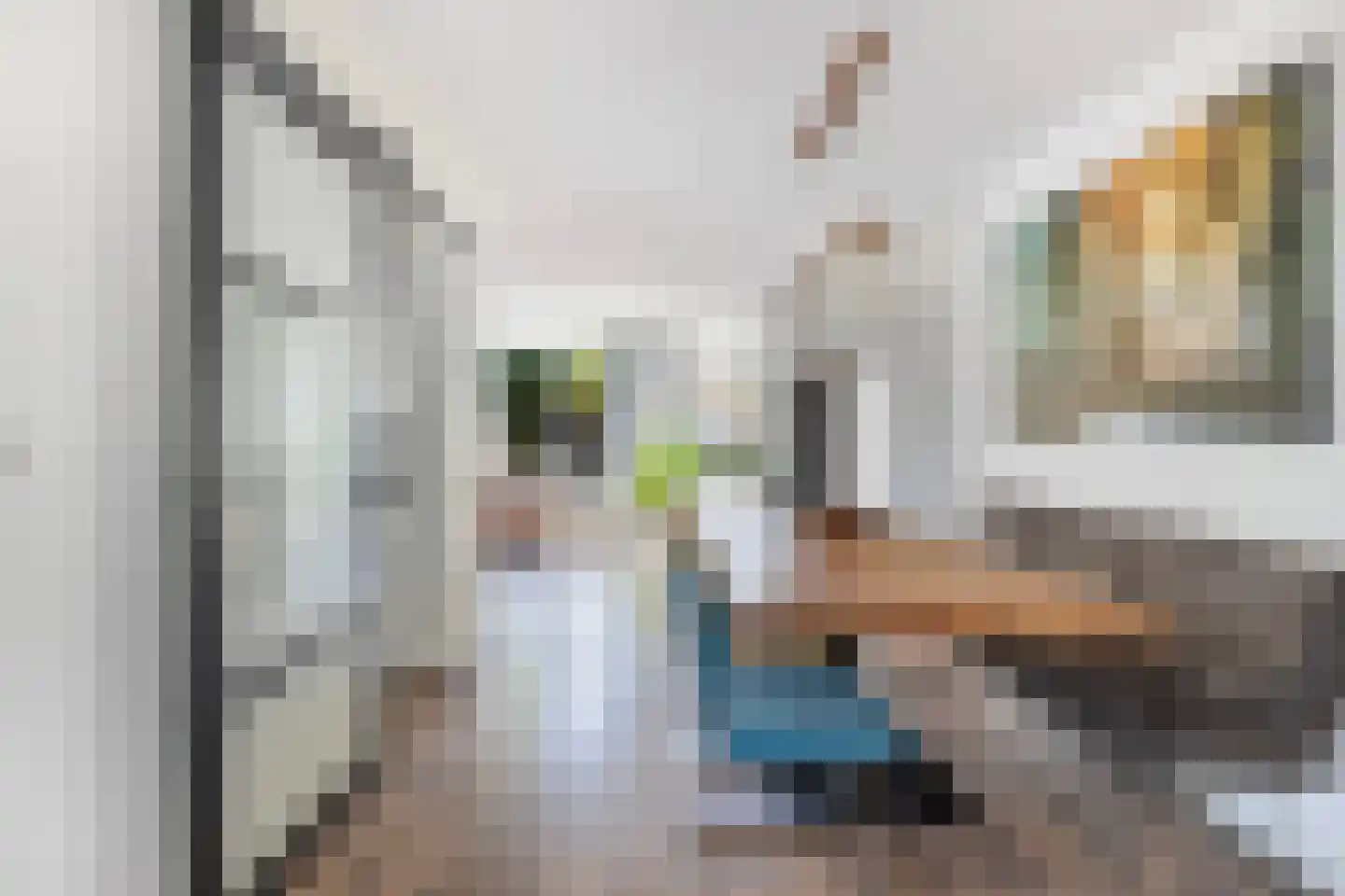 Coolenstraat 4 Oud-Beijerland thumbnail 19