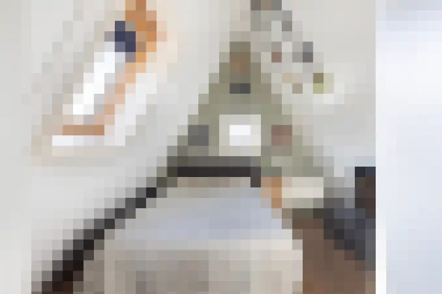 Coolenstraat 4 Oud-Beijerland thumbnail 37