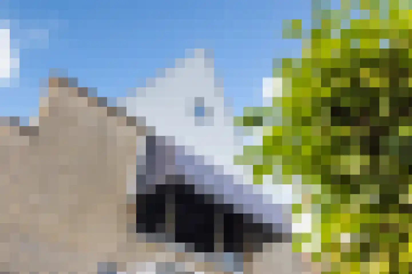 Coolenstraat 4 Oud-Beijerland thumbnail 49
