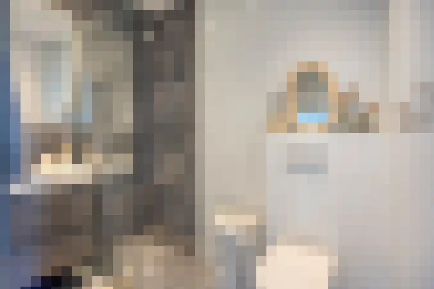 Coolhaven 126 C Rotterdam thumbnail 22