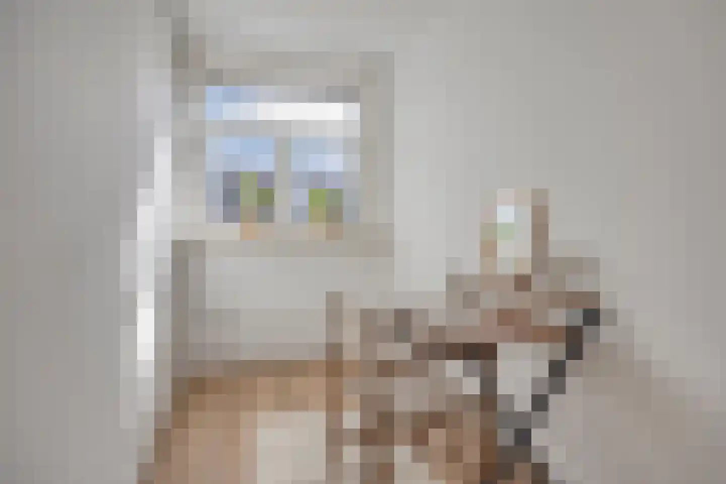 Coolhaven 126 C Rotterdam thumbnail 35