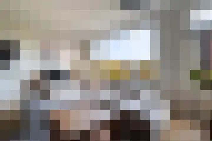 Coolhaven 128 B Rotterdam thumbnail 16