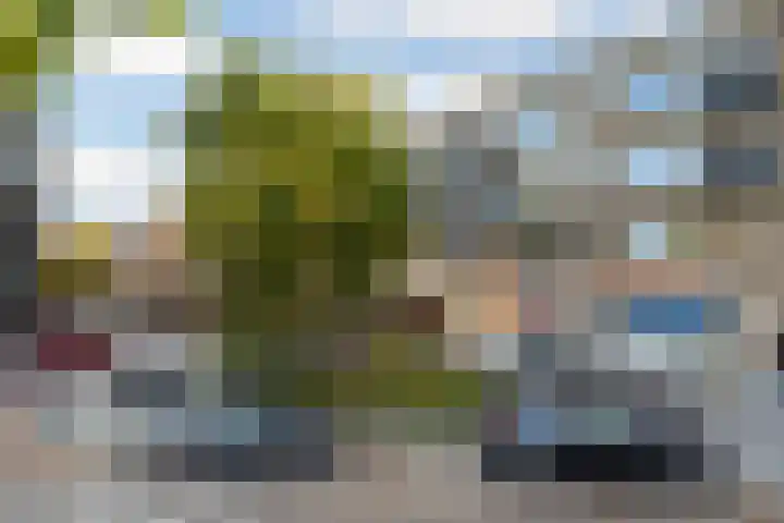 Coolhaven 128 B Rotterdam thumbnail 5