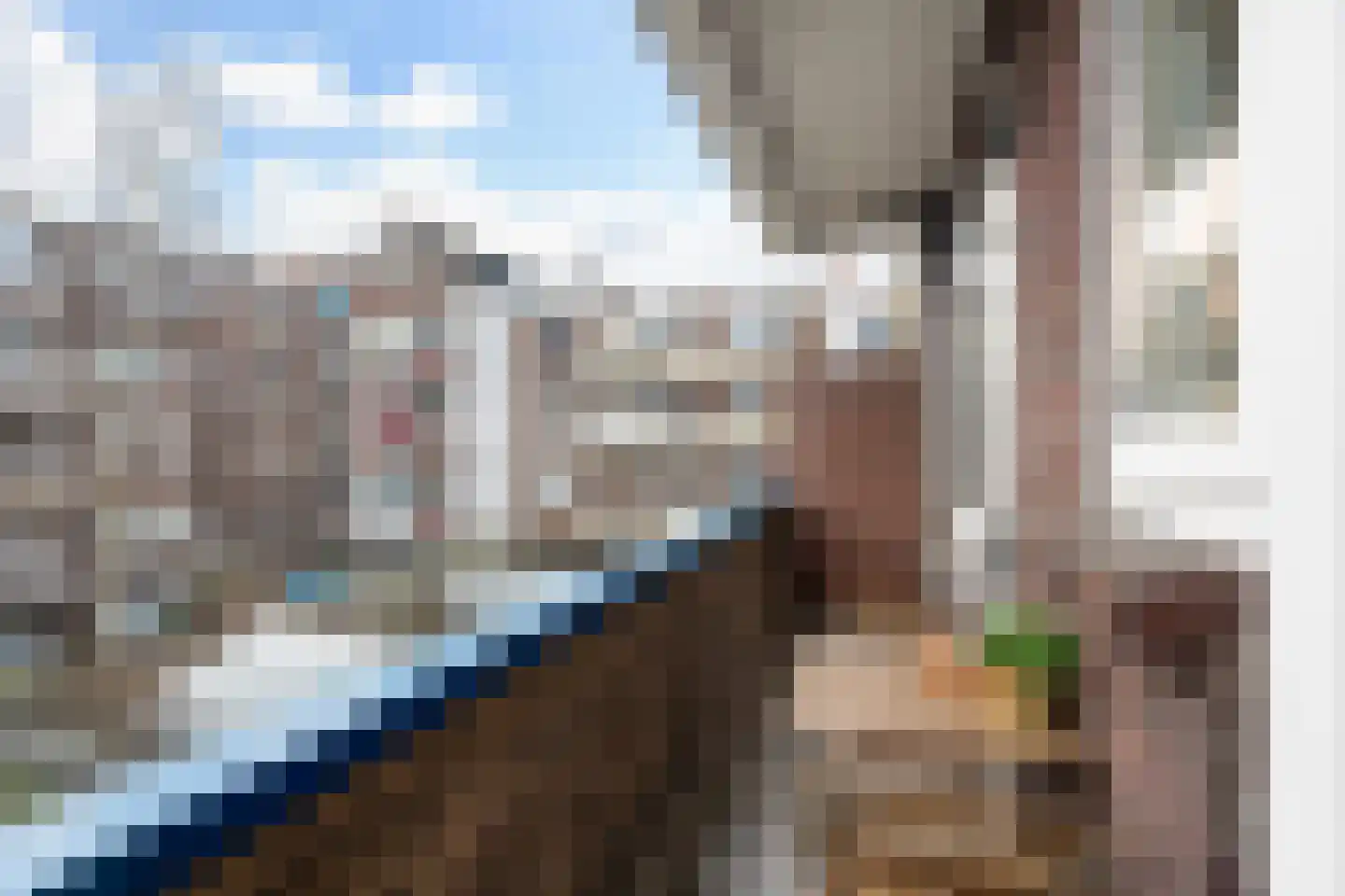 Coolhaven 134 B Rotterdam thumbnail 24