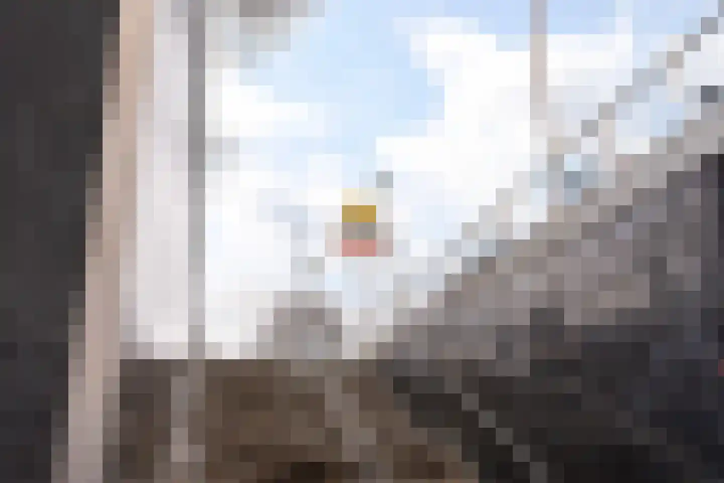 Coolhaven 134 B Rotterdam thumbnail 35