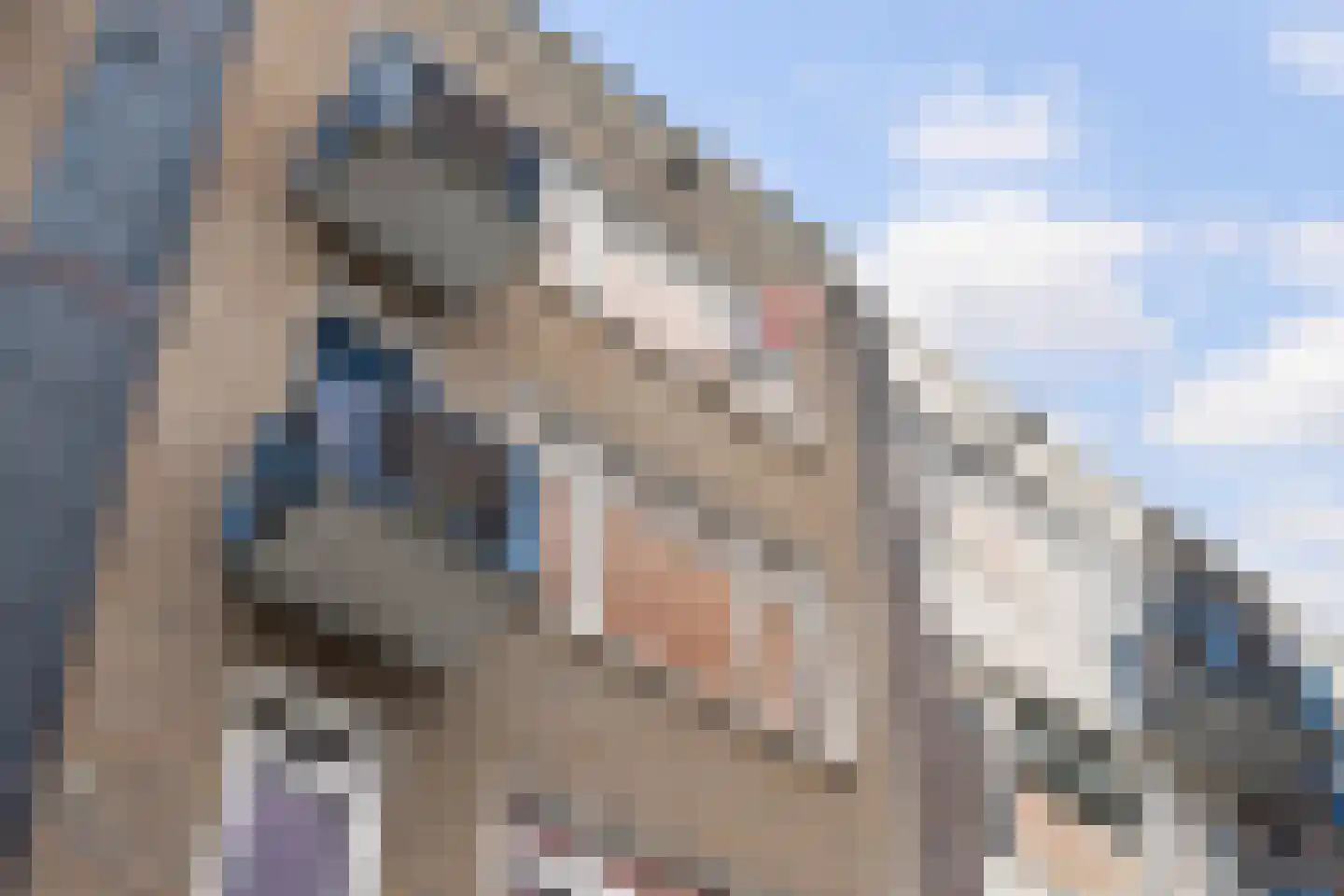 Coolhaven 134 B Rotterdam thumbnail 5