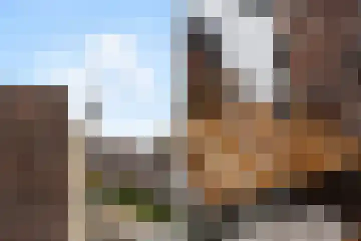 Coolhaven 134 C Rotterdam thumbnail 16