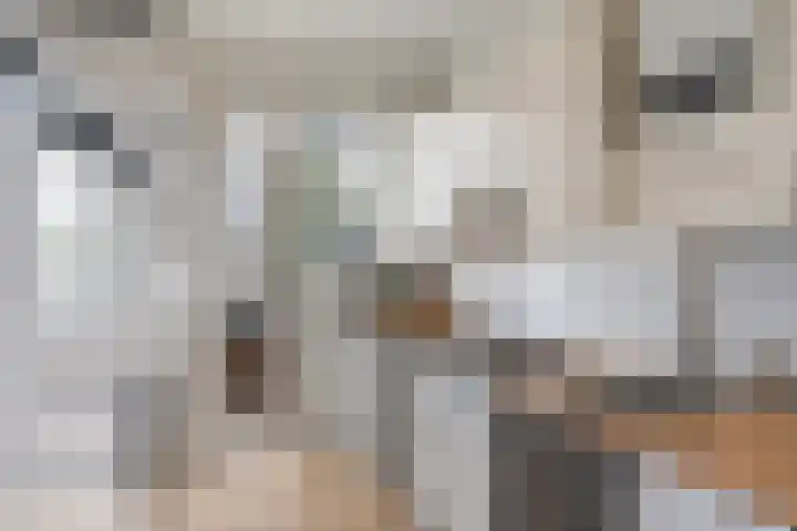 Coolhaven 134 C Rotterdam thumbnail 21