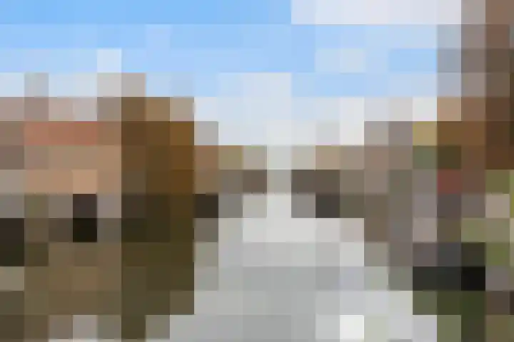 Coolhaven 134 C Rotterdam thumbnail 28