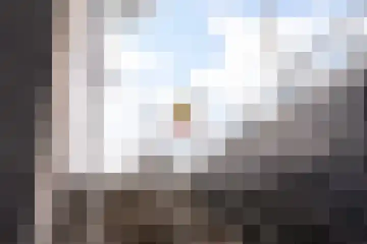 Coolhaven 134 C Rotterdam thumbnail 35
