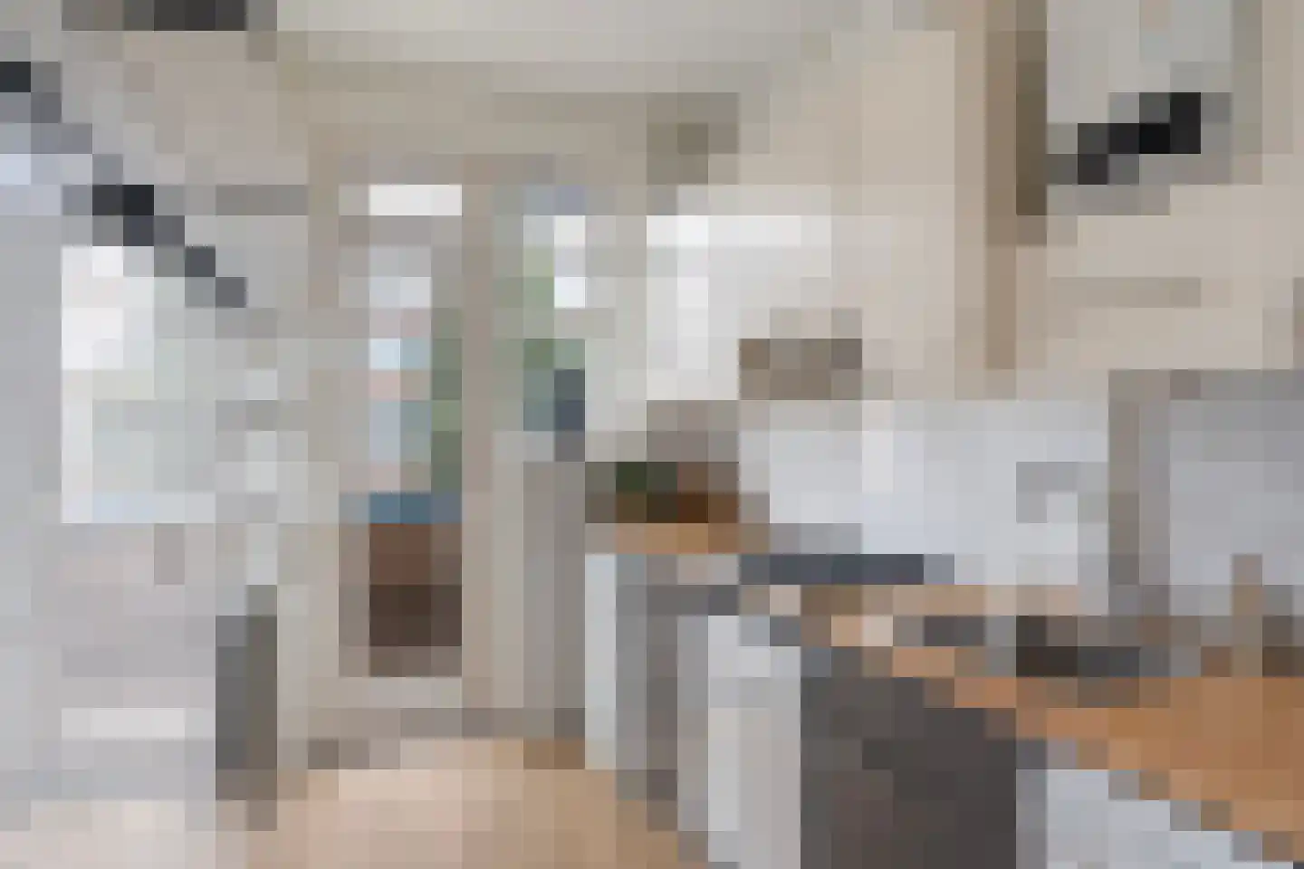Coolhaven 134 D Rotterdam thumbnail 21