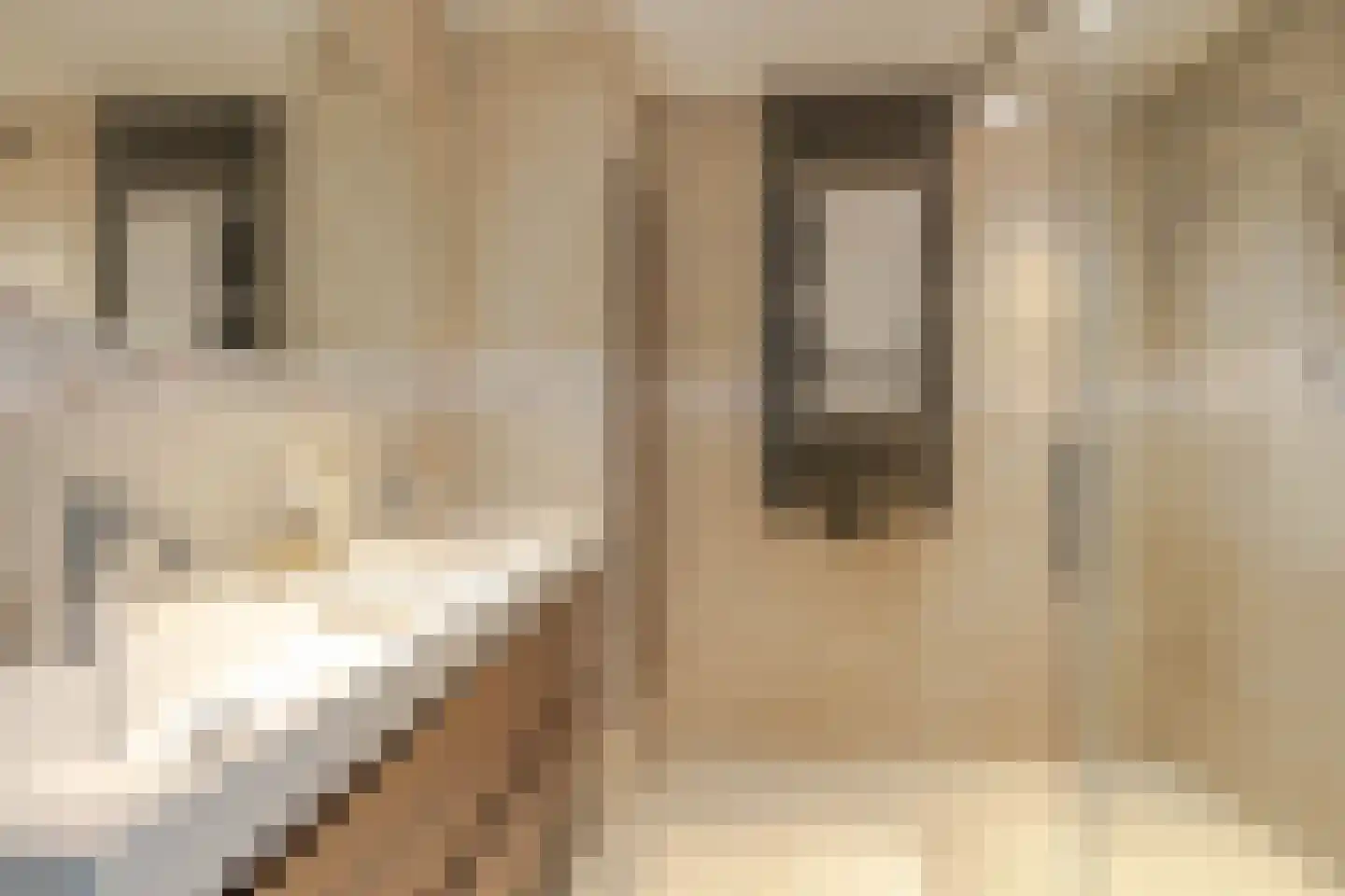 Coolhaven 149 Rotterdam thumbnail 4