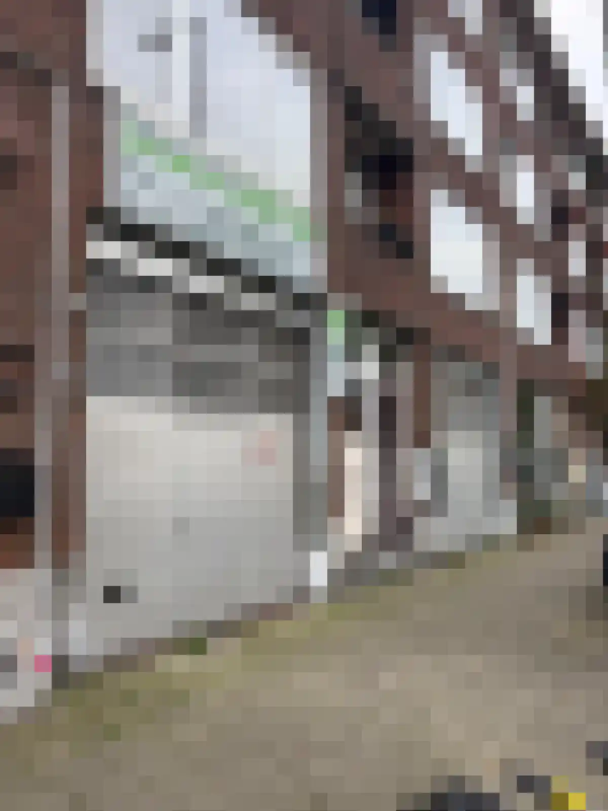 Coolhaven 150 A Rotterdam thumbnail 10