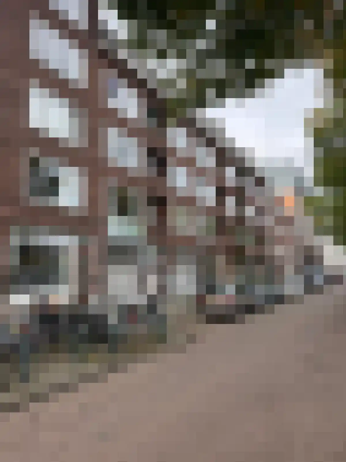 Coolhaven 150 A Rotterdam thumbnail 11