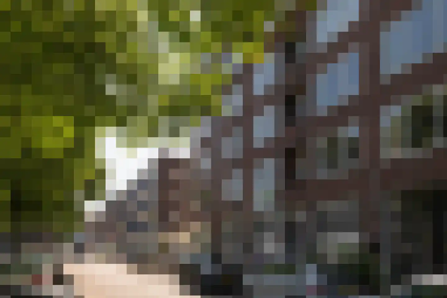 Coolhaven 150 B 03 Rotterdam thumbnail 4