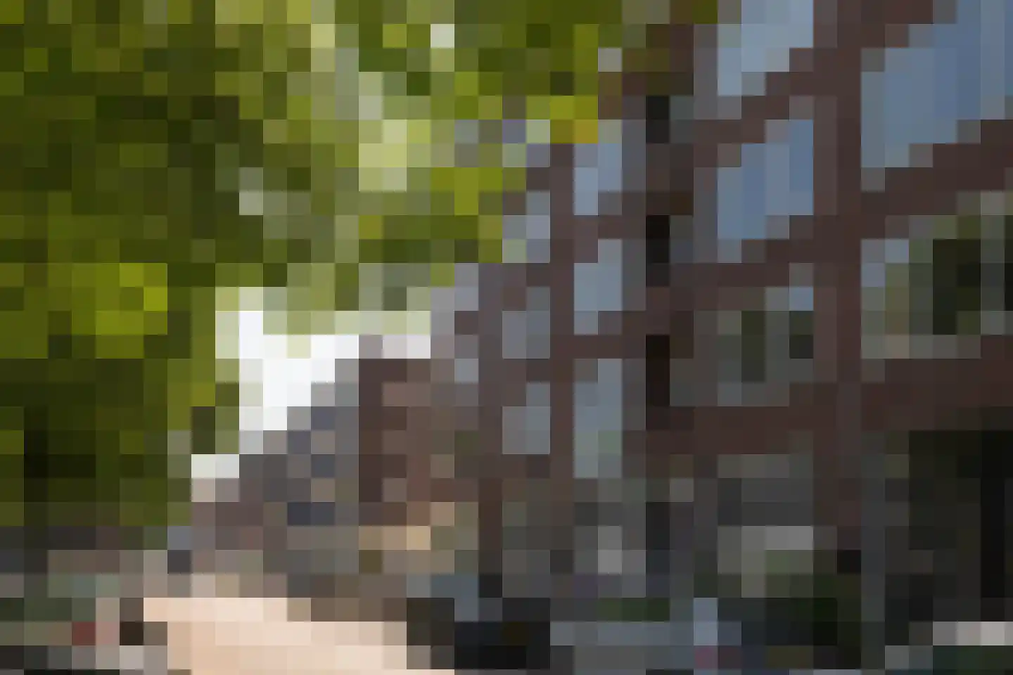 Coolhaven 150 B 03 Rotterdam thumbnail 9