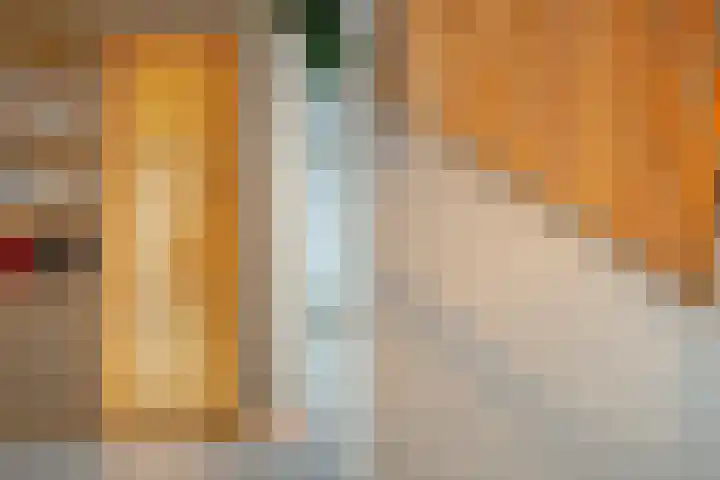 Coolhaven 154 A Rotterdam thumbnail 10