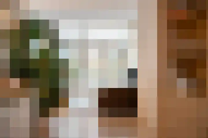 Coolhaven 154 A Rotterdam thumbnail 15
