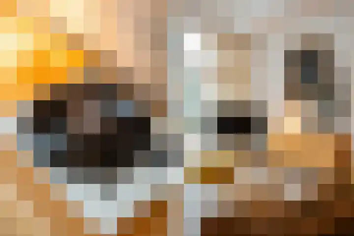 Coolhaven 154 A Rotterdam thumbnail 18