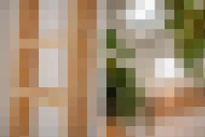 Coolhaven 154 A Rotterdam thumbnail 35