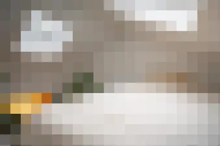 Coolhaven 154 A Rotterdam thumbnail 36