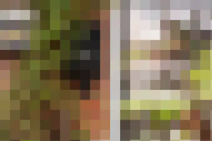 Coolhaven 154 A Rotterdam thumbnail 37