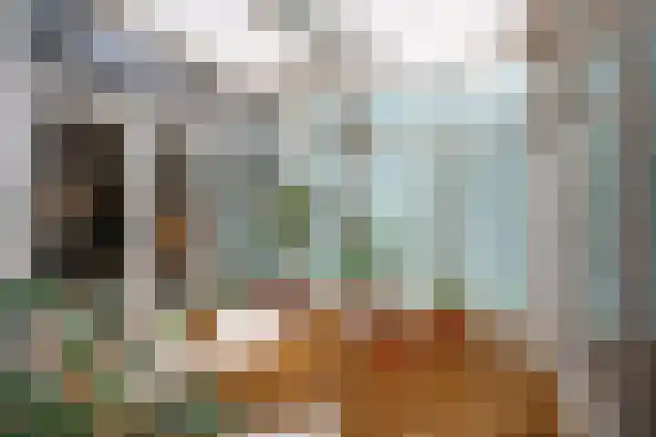 Coolhaven 154 A Rotterdam thumbnail 4