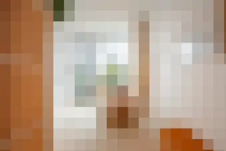 Coolhaven 154 A Rotterdam thumbnail 5
