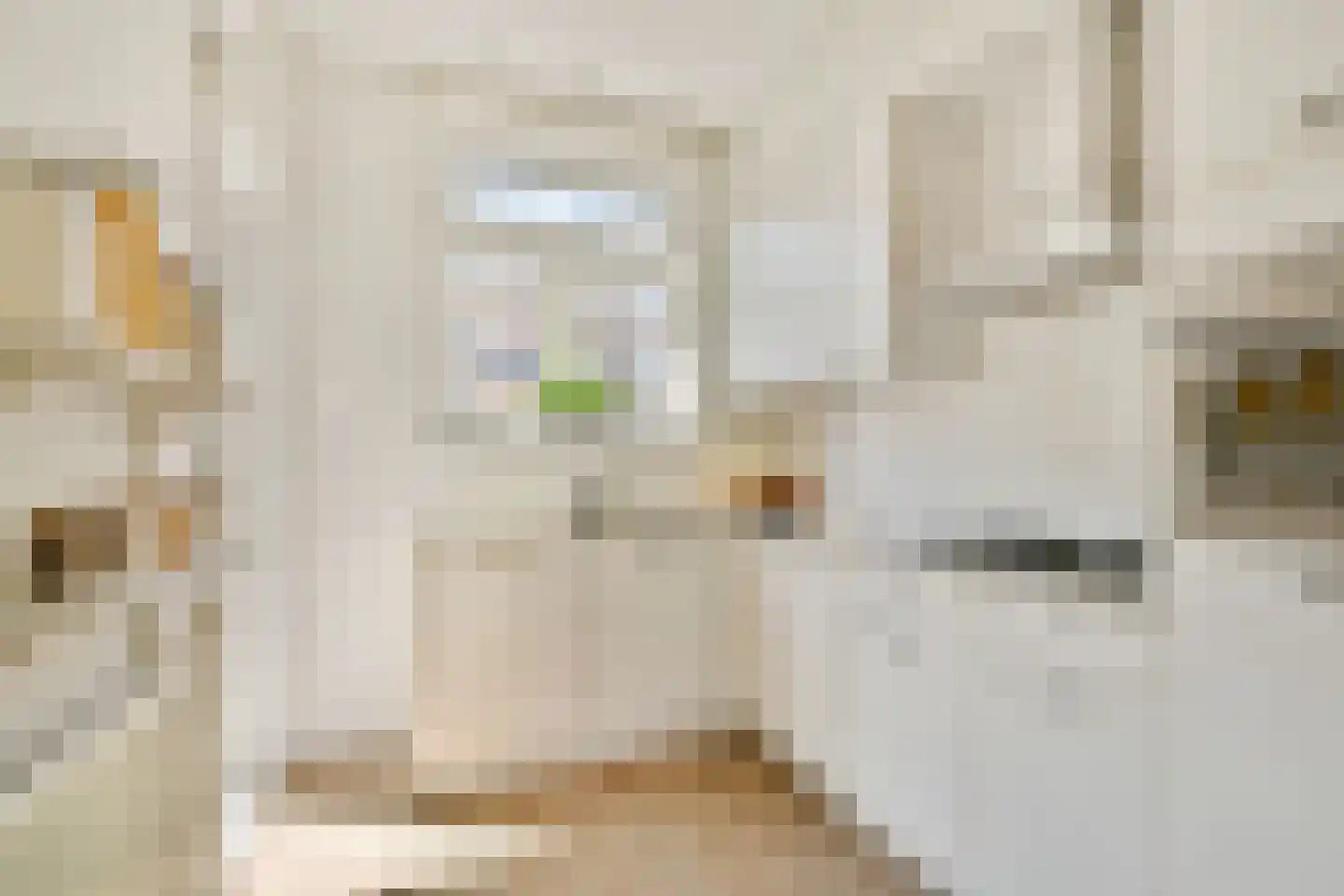 Coolhaven 158 B 01 Rotterdam thumbnail 14