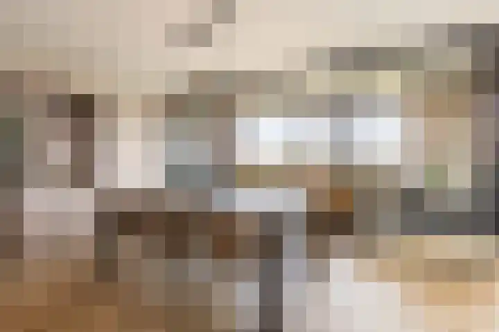 Coolhaven 159 Rotterdam thumbnail 11