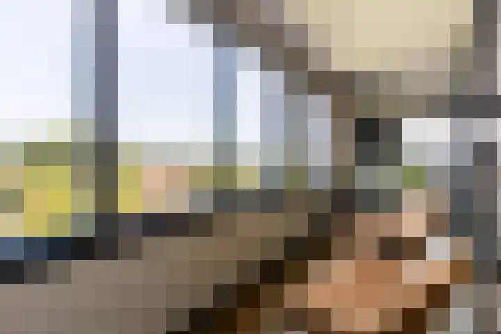 Coolhaven 159 Rotterdam thumbnail 13