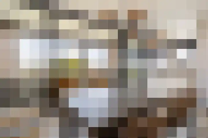 Coolhaven 159 Rotterdam thumbnail 16