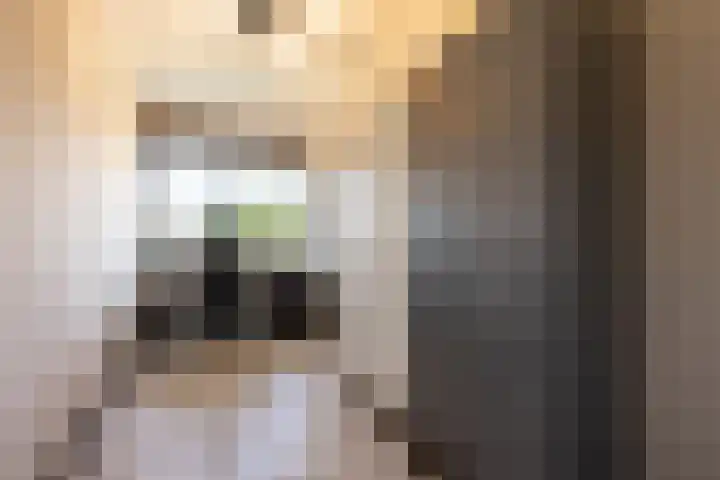 Coolhaven 159 Rotterdam thumbnail 29