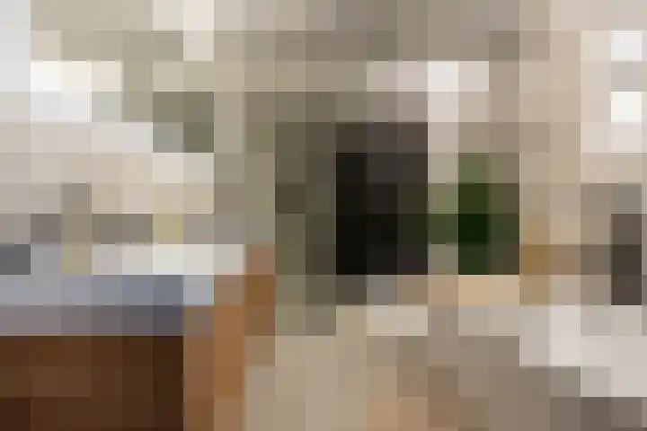 Coolhaven 159 Rotterdam thumbnail 31