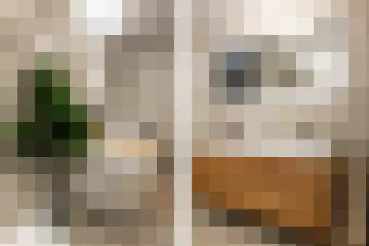 Coolhaven 159 Rotterdam thumbnail 32