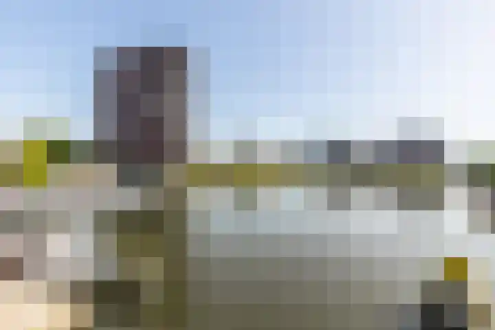 Coolhaven 159 Rotterdam thumbnail 42