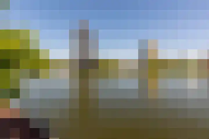 Coolhaven 159 Rotterdam thumbnail 43