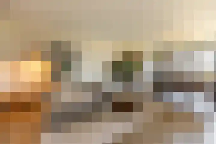 Coolhaven 159 Rotterdam thumbnail 5