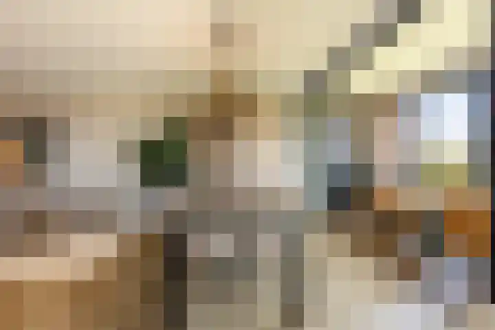 Coolhaven 159 Rotterdam thumbnail 9