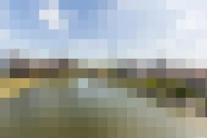 Coolhaven 183 Rotterdam thumbnail 11