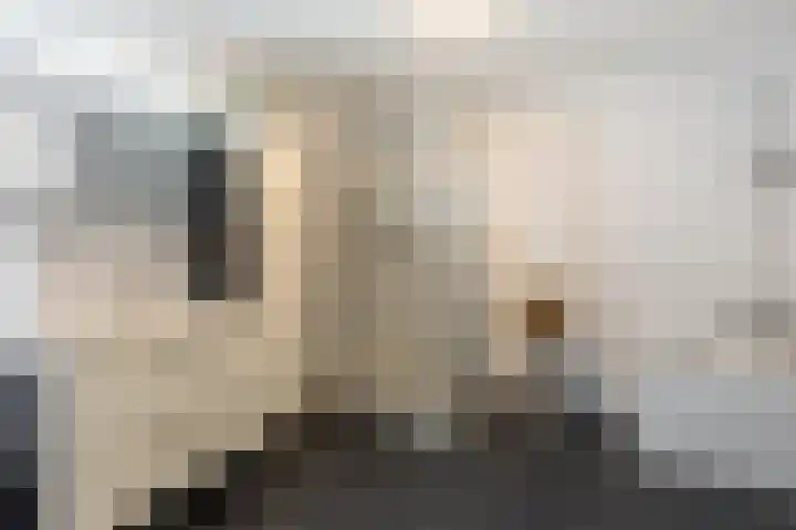 Coolhaven 183 Rotterdam thumbnail 21