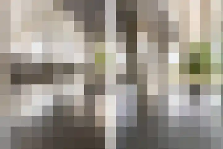 Coolhaven 183 Rotterdam thumbnail 25