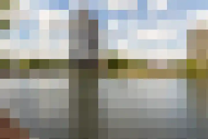 Coolhaven 183 Rotterdam thumbnail 26