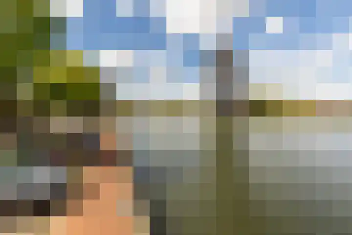 Coolhaven 183 Rotterdam thumbnail 29
