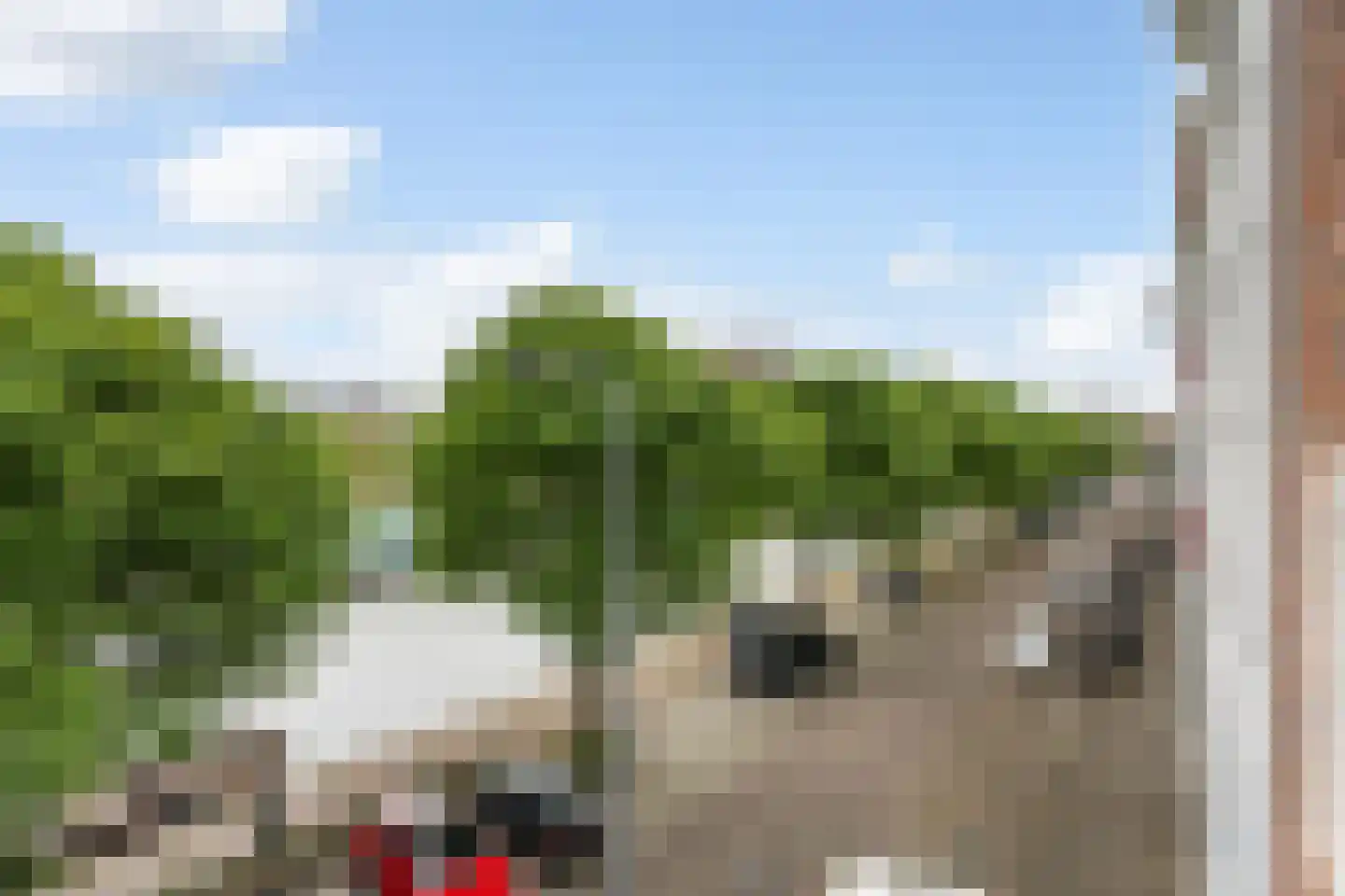 Coolhaven 226 A Rotterdam thumbnail 16