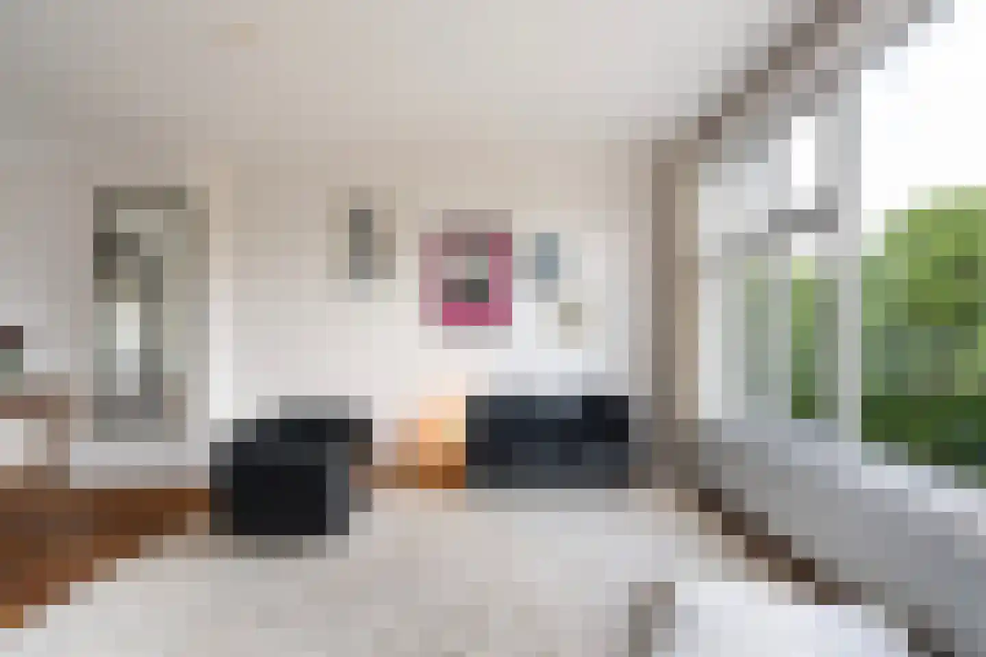 Coolhaven 226 A Rotterdam thumbnail 17