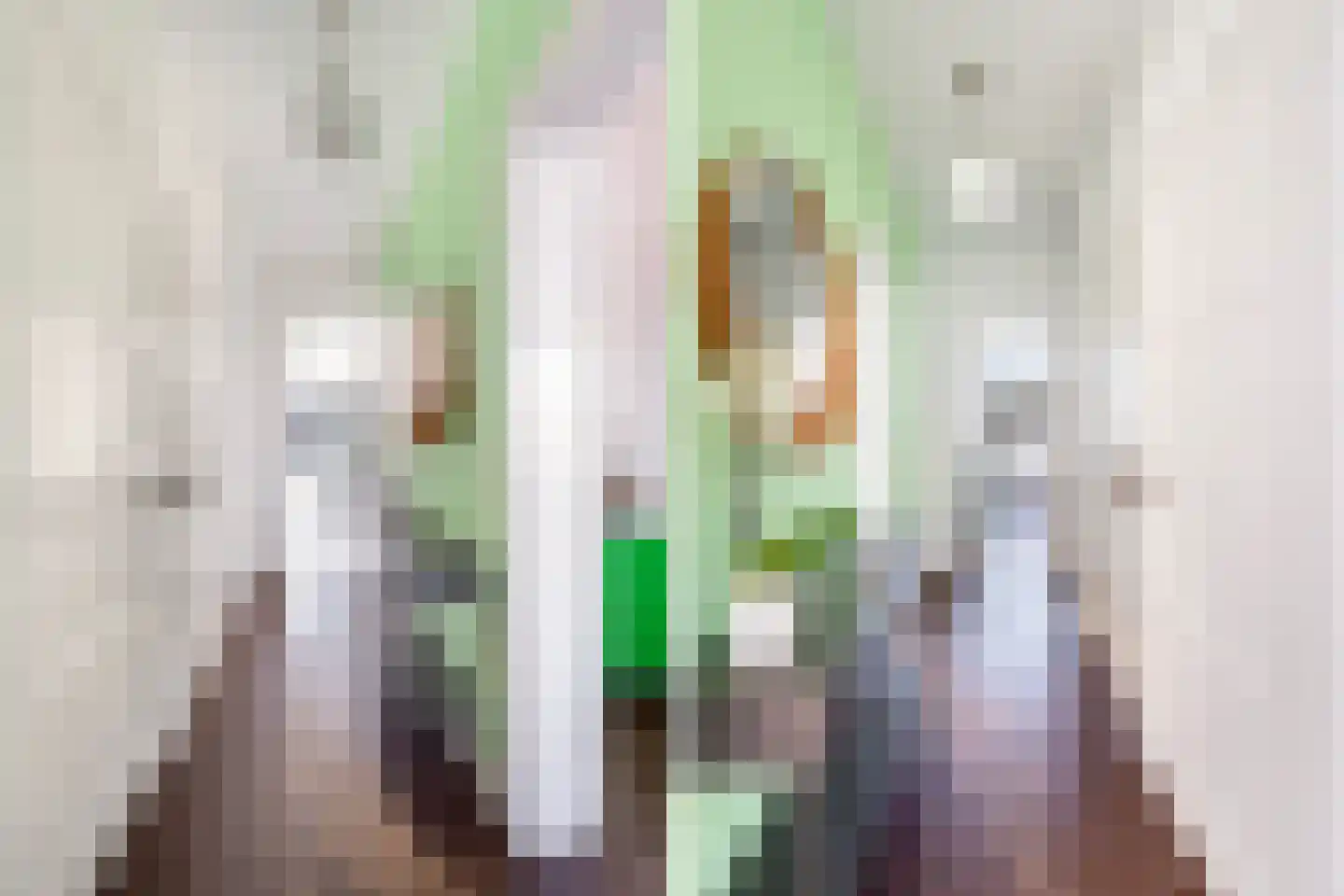 Coolhaven 234 A Rotterdam thumbnail 27