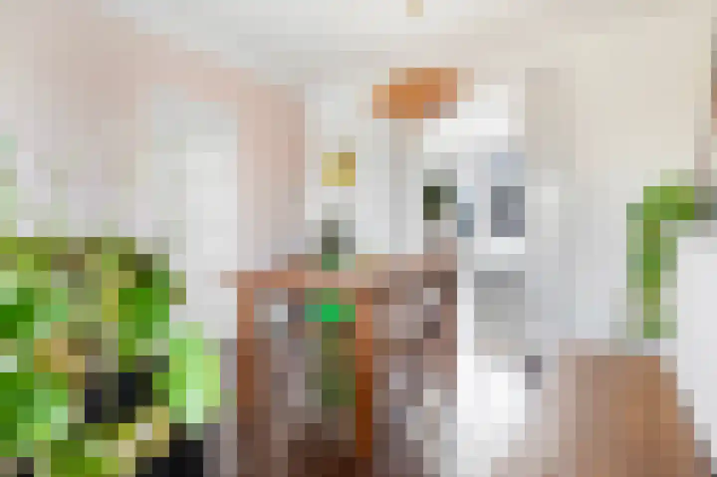 Coolhaven 234 A Rotterdam thumbnail 7