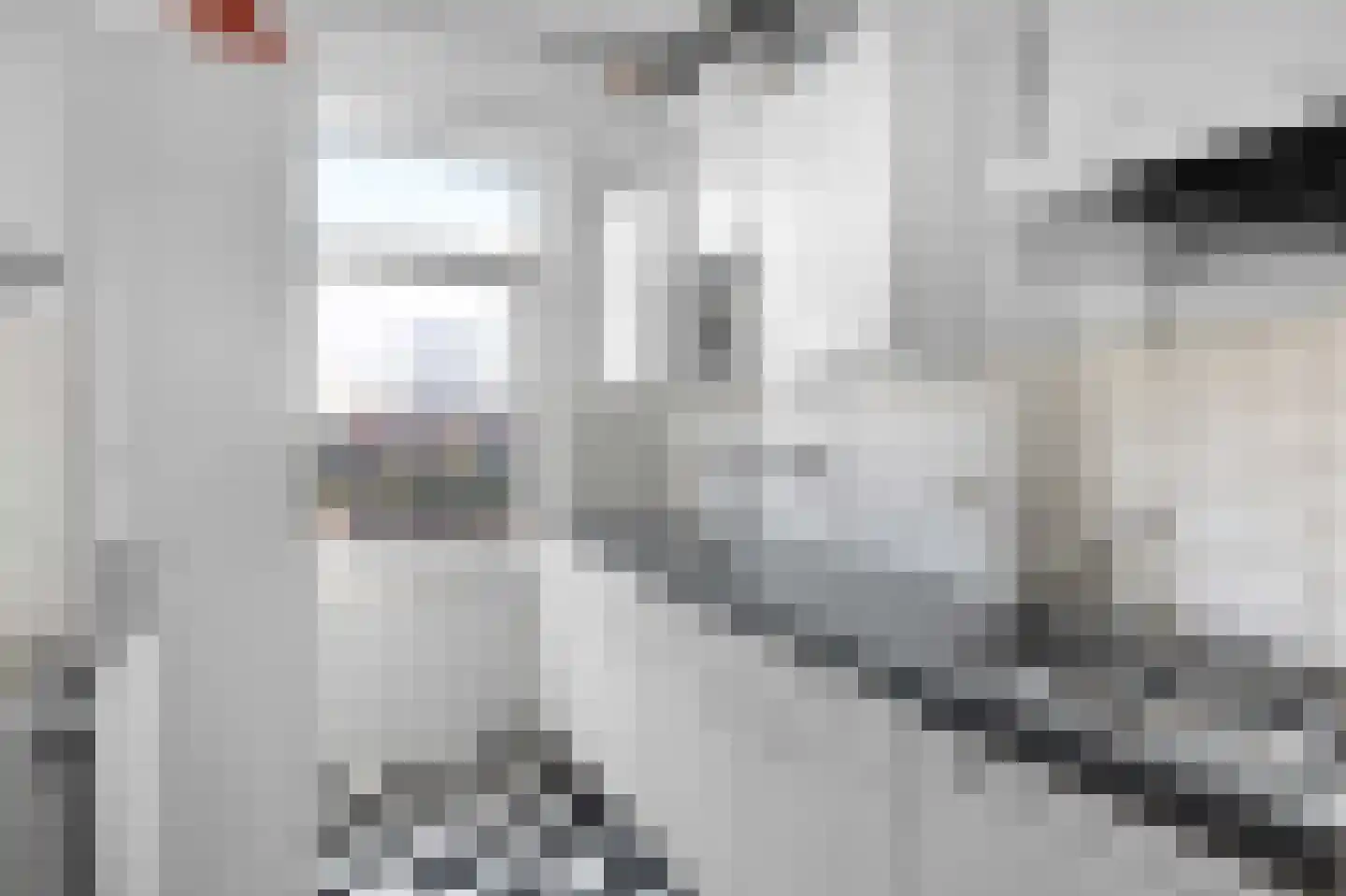 Coolhaven 26 D Rotterdam thumbnail 10