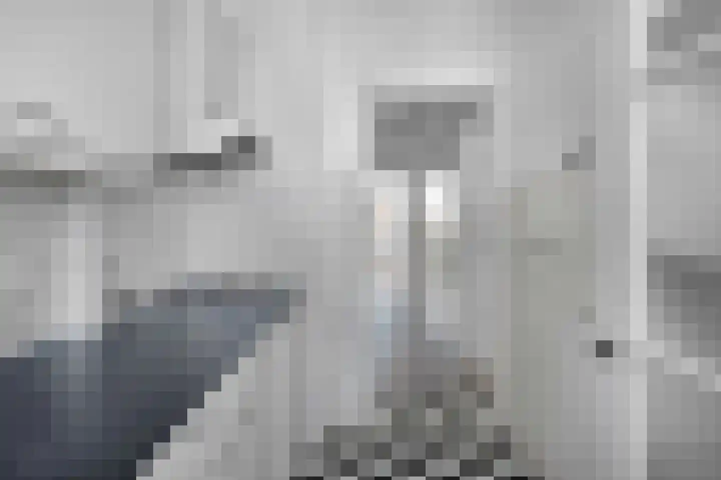 Coolhaven 26 D Rotterdam thumbnail 12